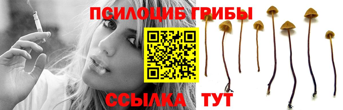 Галлюциногенные грибы MAGIC MUSHROOMS  Вход с VPN  Алушта  Псилоцибиновые грибы прущие грибы 